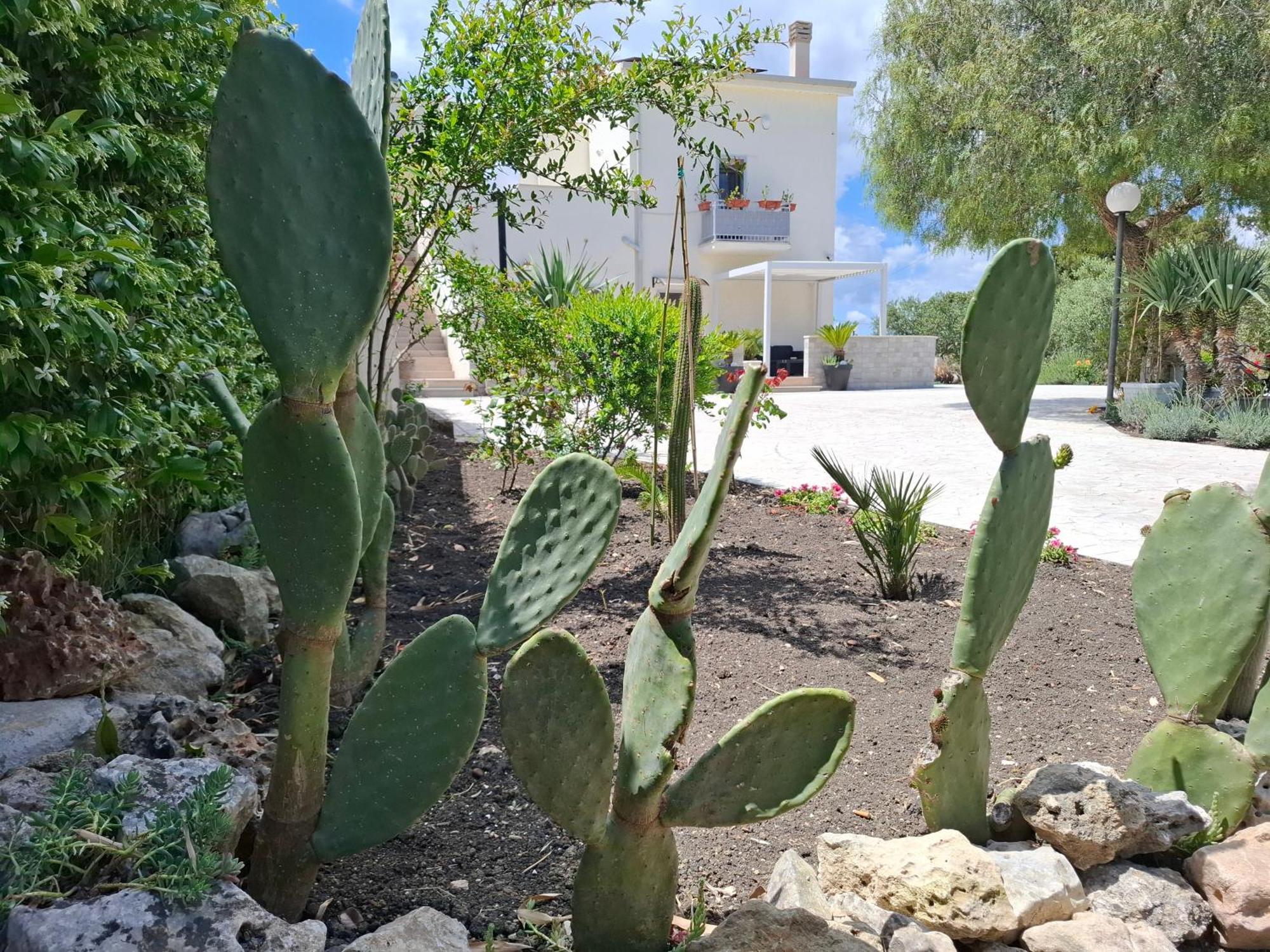 A Casa Di Anna - Locazione Turistica - Hotel Matera Bagian luar foto